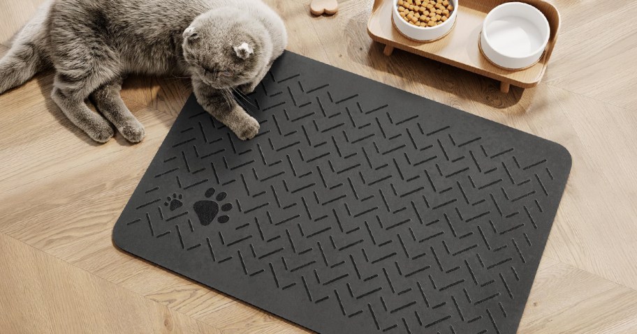 pet food mat
