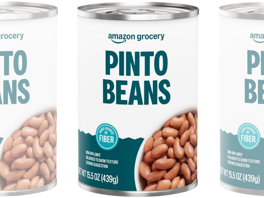 a can of pinto beans