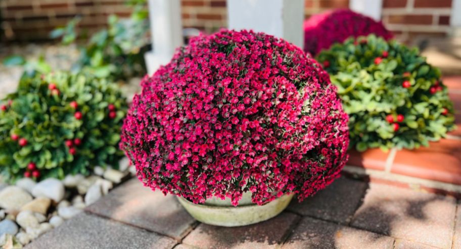 three different spheres in pink and green shades