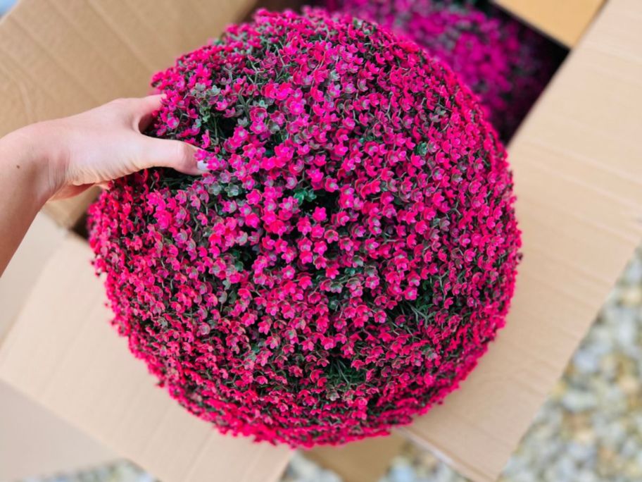 hand holding a pink sphere out of its box