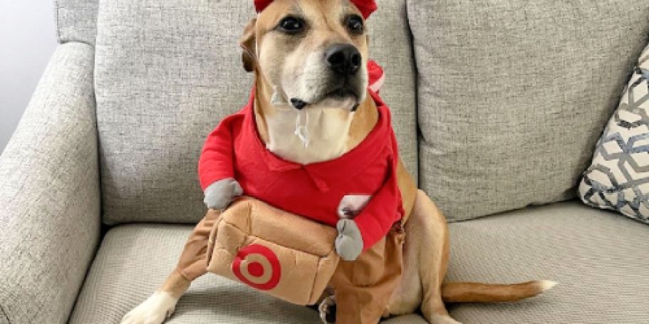 40% Off Target Pet Costumes | Spooky Cute Styles from $3!