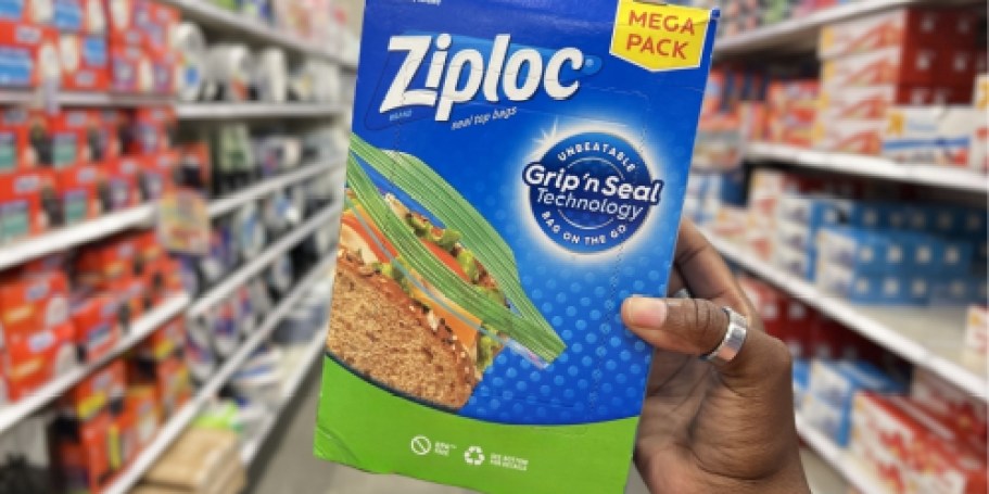 Ziploc EasyGuide Sandwich Bags 270-Count Only $5.63 Shipped on Amazon (Reg. $11)