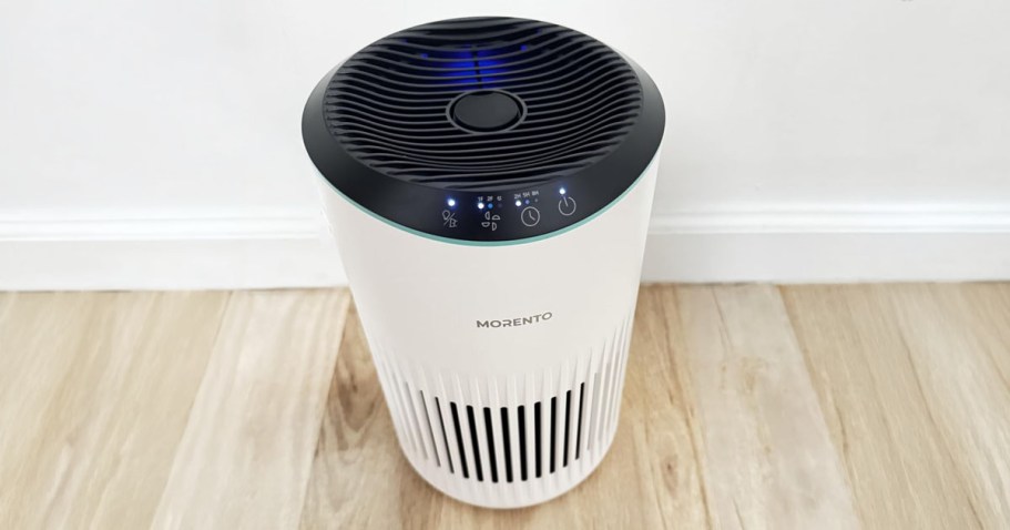 TWO Air Purifiers w/ Essential Oil Diffusers Just $44.68 Shipped on Amazon – Just $22.34 Each!