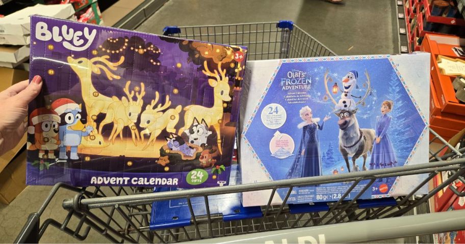 Aldi Advent Bluey and Frozen
