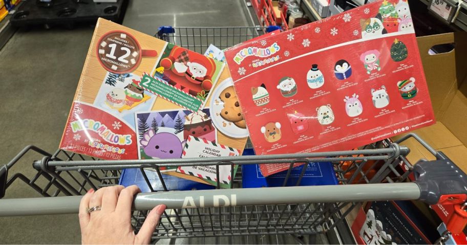 Aldi Advent Squishmallow