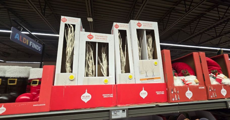 Aldi Christmas Birch Trees