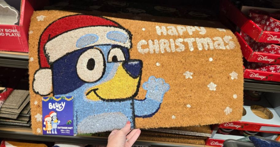 Aldi Christmas Bluey Mat