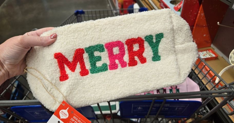 Aldi Christmas Crossbody bag