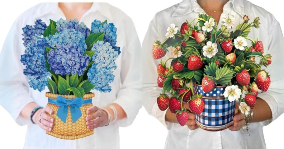 Stock images of two women holding Freshcut Pop Up Floral Cards with Hydrangeas and Strawberries