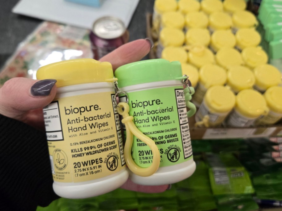 Anti-bacterial hand wipe containers at Dollar Tree.