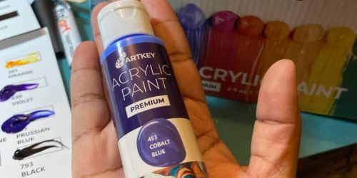 Acrylic Paint 24-Color Set Just $9.49 on Amazon (Regularly $19)