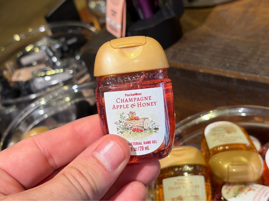 a hand holding a pocketbac hand sanitizer