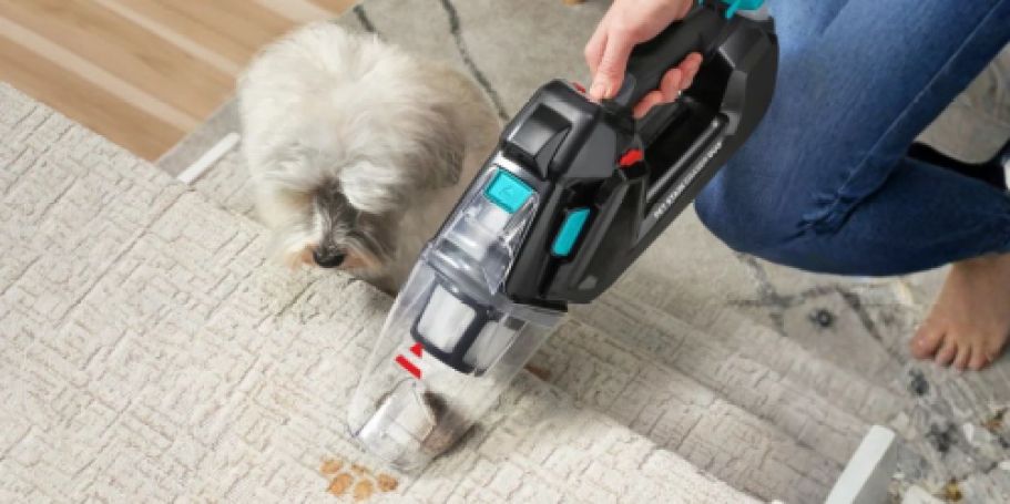 $70 Off Bissell Pet Stain Eraser Duo Deluxe w/ Solution + FREE Shipping on Wayfair.com