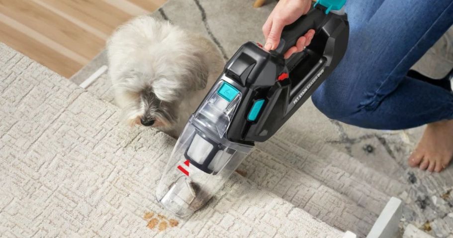 $70 Off Bissell Pet Stain Eraser Duo Deluxe w/ Solution + FREE Shipping on Wayfair.com