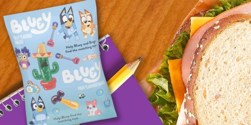 Bluey Fruit Snacks 22-Count Box Only $2.80 Shipped on Amazon