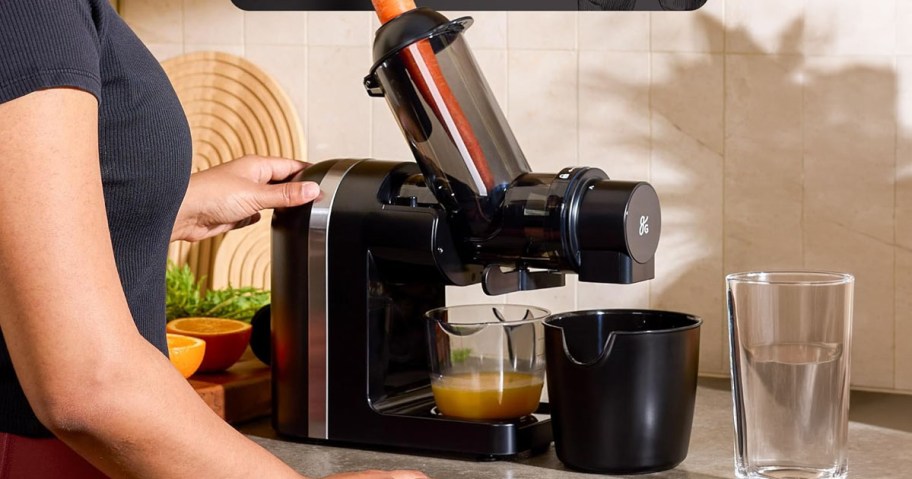 Cold Press Juicer
