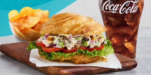 FREE Corner Bakery Cafe Combo Meal for Admin Professionals on 4/22 (No Purchase Required!)