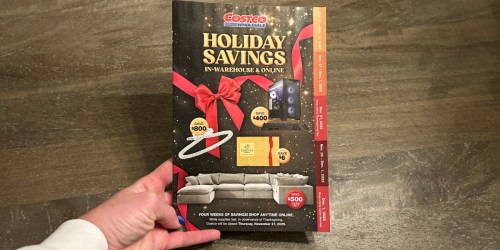 Costco Black Friday Ad Just Dropped | $120 Off PlayStation 5 Bundle