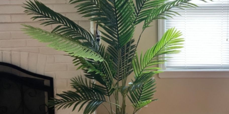 OVER $70 Off Top-Rated Faux Plants + Free Shipping