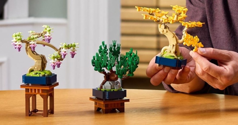 person putting together a LEGO Bonsai tree set