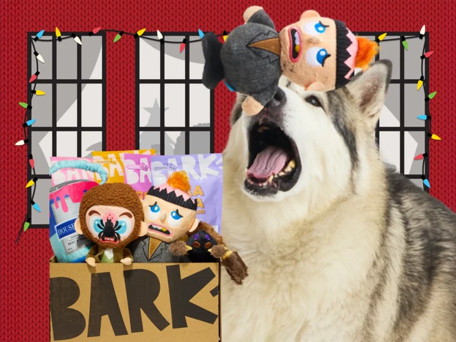 Home Alone Themed BarkBox with dog