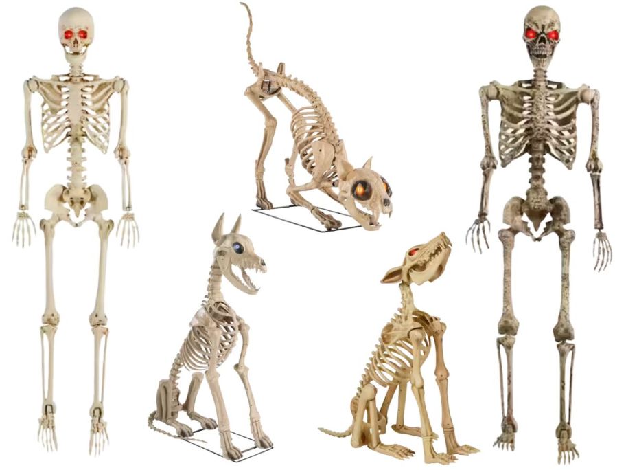 Home Depot Home Accents Holiday Skeletons
