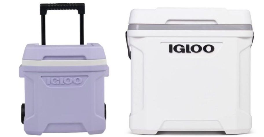 Purple and white igloo choolers