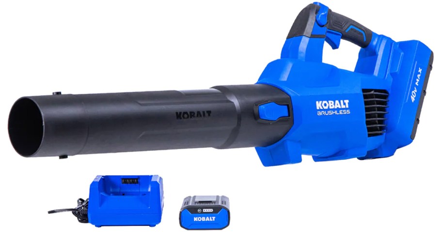 black and blue leaf blower with battery and charger