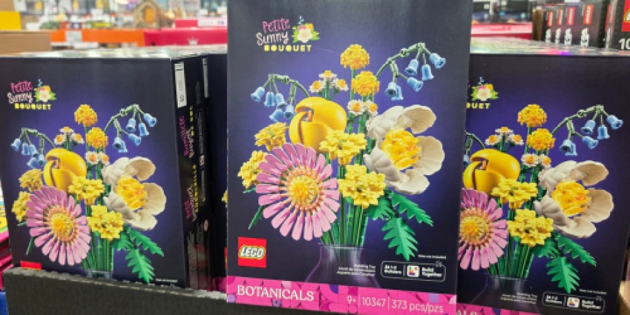 GO! Lowest Prices Ever on LEGO Botanical Collection Sets