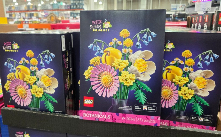 boxes for the LEGO Botanicals Petite Sunny Bouquet set in store