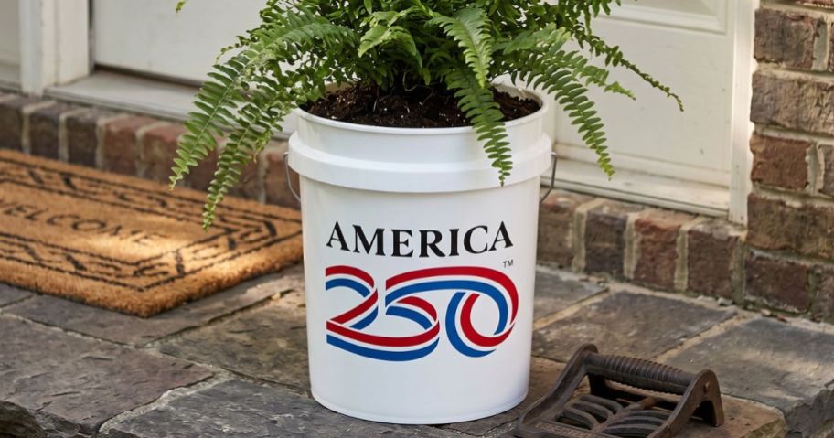 Leaktite America 250 5-Gallon White Bucket on porch with plant in it