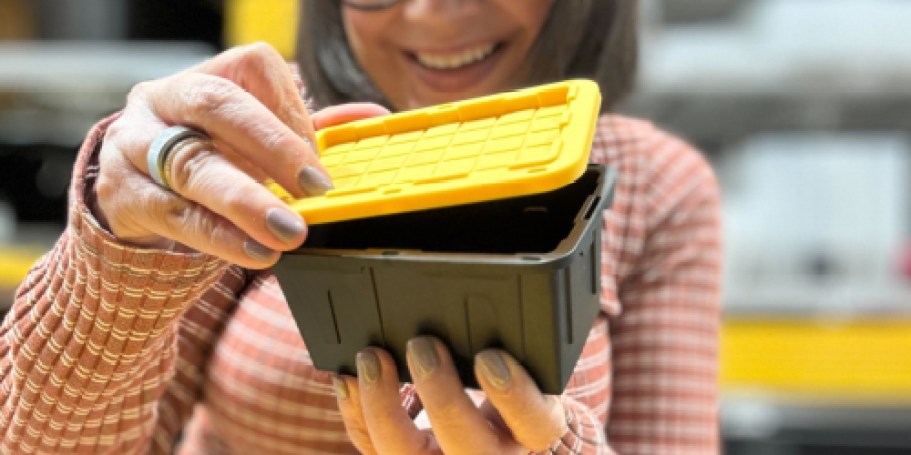 Our Favorite Lowe’s Black & Yellow Totes Are Now TEENY