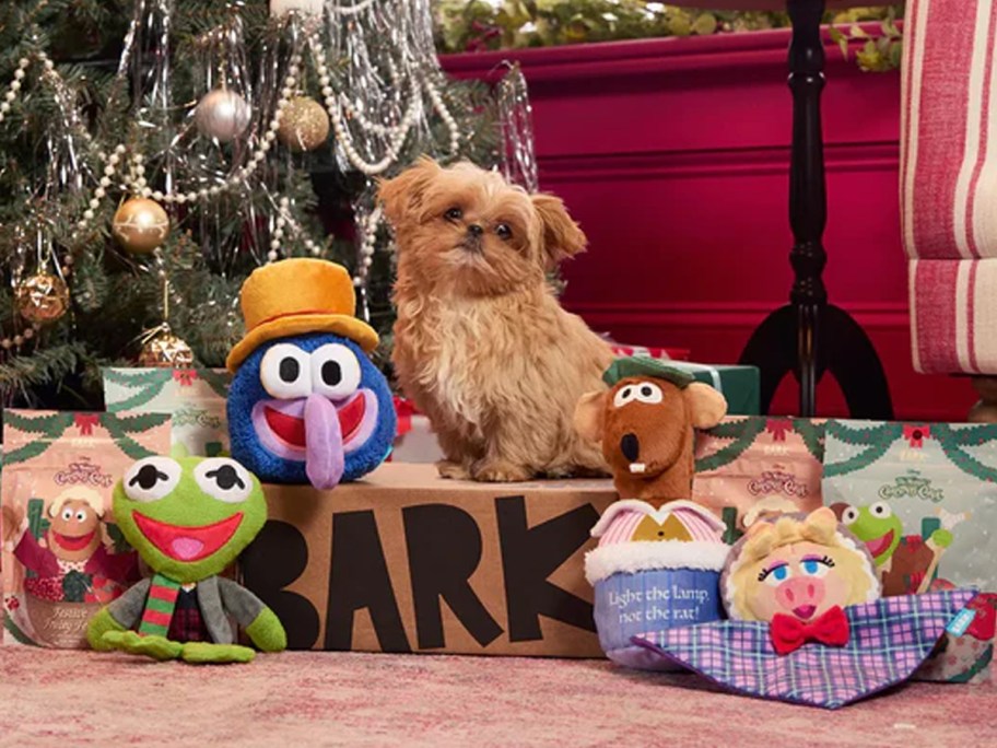 Muppets Themed BarkBox with a dog under a Christmas Tree