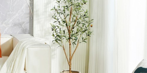 Faux Olive Tree Just $21.79 Shipped for Walmart+ Members