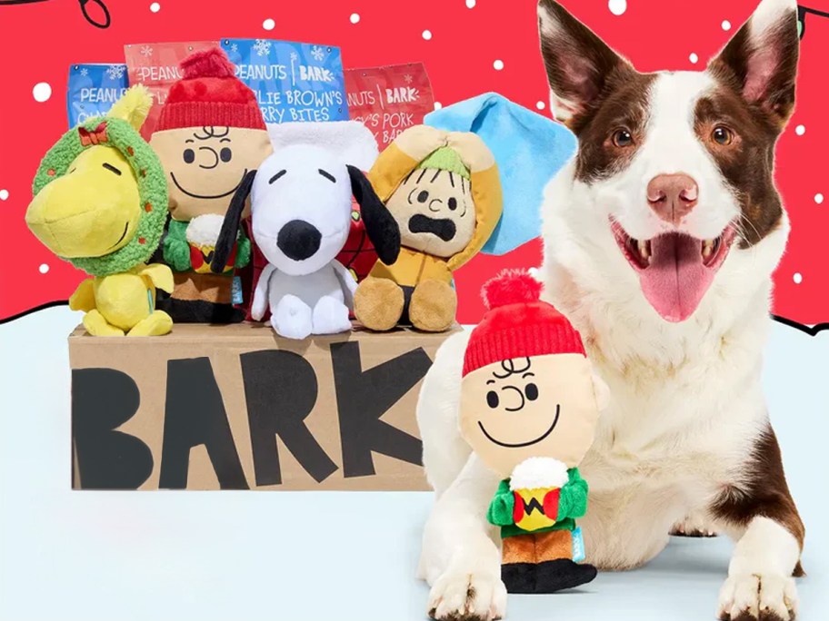 Peanuts Themed BarkBox with a dog