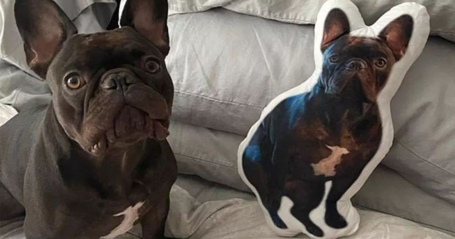 A french bulldog next to a Justyling Custom 3D Pet Photo Pillow