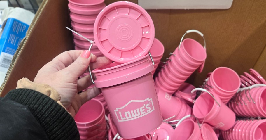 Pink Mini Lowes Bucket