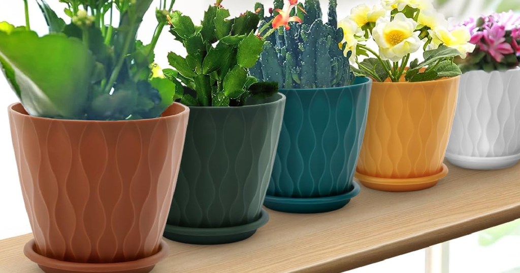 Different color planter pods on wooden countertop