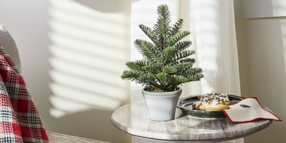 Score 50% Off Festive Hearth & Hand w/ Magnolia Decor on Target.com
