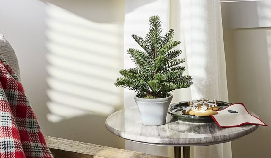 mini potted spruce tree on side table with cookies