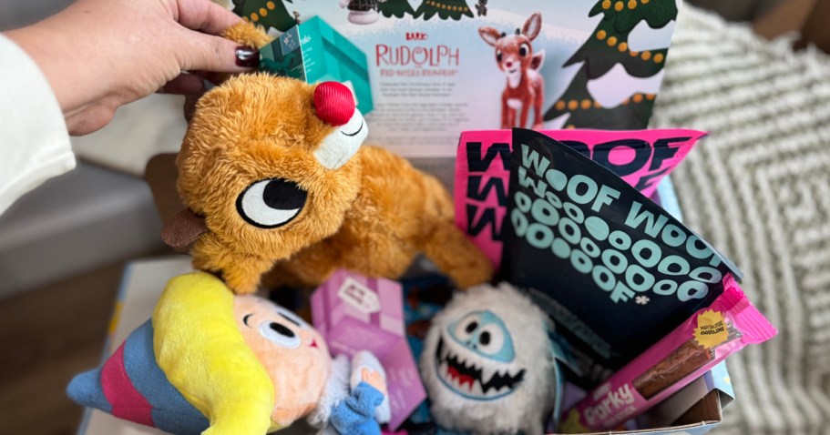 FREE Double Upgrade on BarkBox’s Christmas Boxes (Choose Rudolph, Peanuts, Home Alone or Muppets)