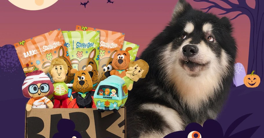 Scooby Doo Halloween Double Bark Box