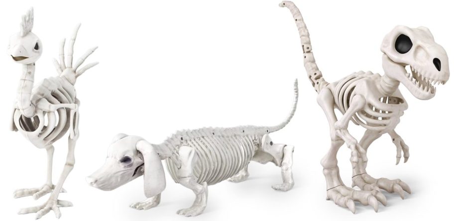 Skeleton Animals