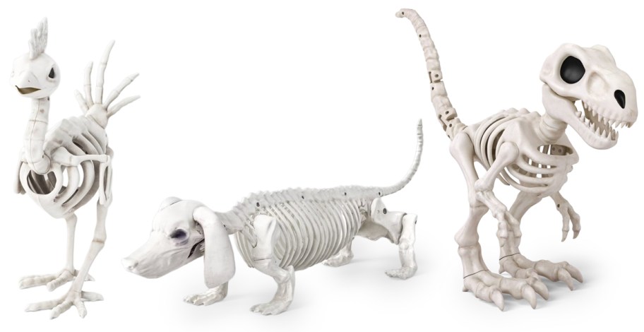 Skeleton Animals