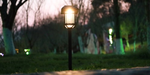 Solar LED Outdoor Path Lights 10 Pack ONLY $19.98 at Lowe’s (Under $2 Per Light)