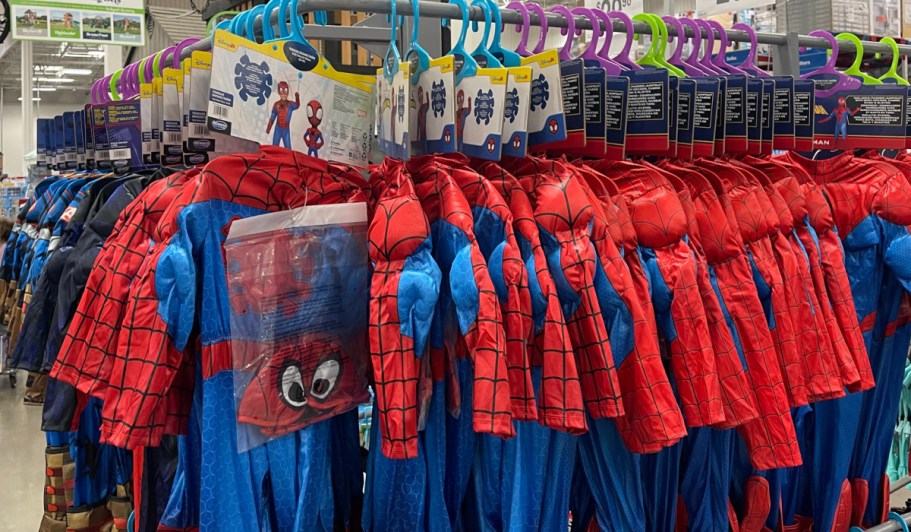 Sam’s Club Halloween Costumes Under $10