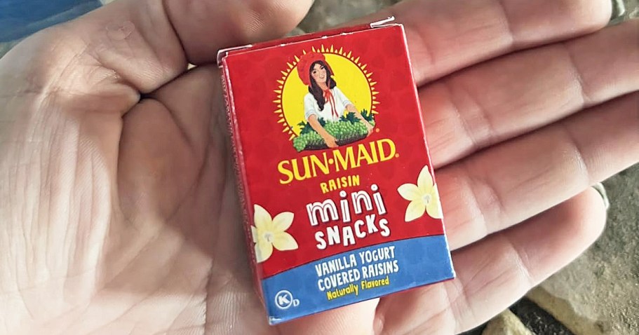 Sun-Maid Yogurt Coated Raisins 80-Pack Just $17 Shipped on Amazon (Only 22¢ Per Snack!)