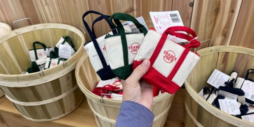 Trader Joe’s Just Dropped the Cutest Mini Totes Ever – Only $2.99!