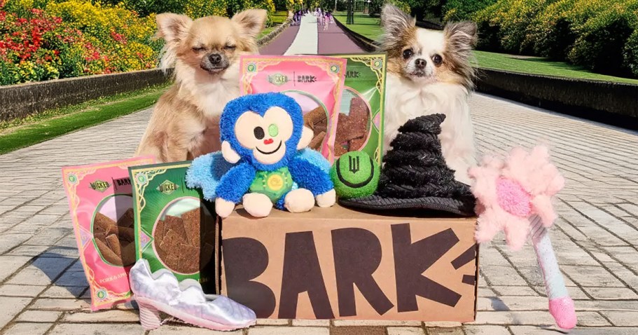 BarkBox’s NEW Wicked-Themed Box Is Here – Score 2 Extra Toys & 2 Extra Treats!