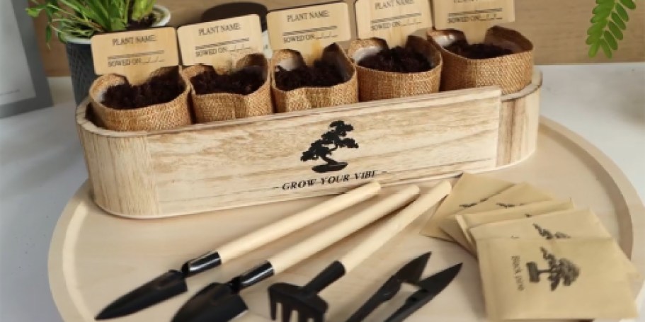 Bonsai Tree Starter Kit Just $14.98 Shipped w/ Amazon Prime (Regularly $42)